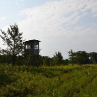 80 Acres of Wood County Hunting Land images 5