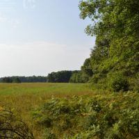 80 Acres of Wood County Hunting Land images 6