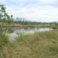 Elledge - COL01 images 2