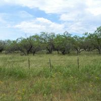 Elledge - COL01 images 3