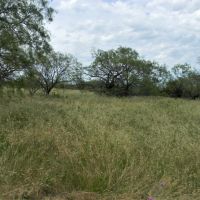 Elledge - COL01 images 5