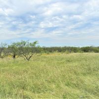 Elledge - COL01 images 6