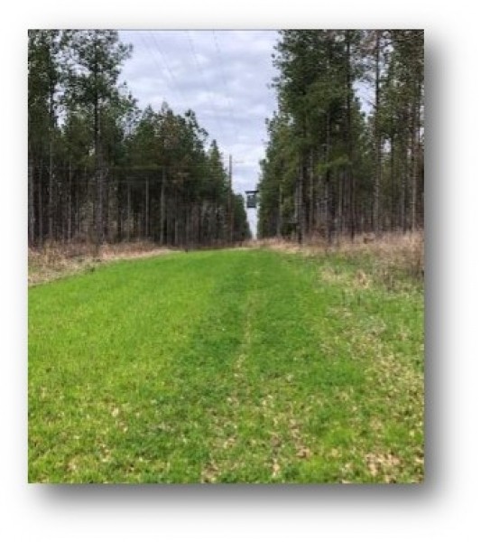 236.73 Acres with a Home in Grenada County in Grenada  MS featured image