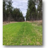 236.73 Acres with a Home in Grenada County in Grenada  MS images 1
