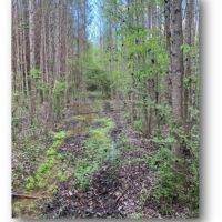 6 Acres in Copiah County in Beauregard  MS images 3