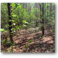 6 Acres in Copiah County in Beauregard  MS images 4