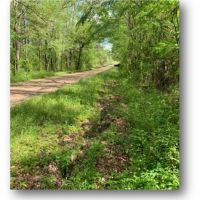 6 Acres in Copiah County in Beauregard  MS images 6