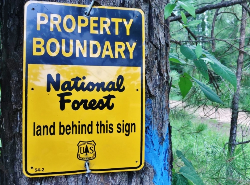 Land Camp Site for Sale Borders Homochitto National Forest Hunting