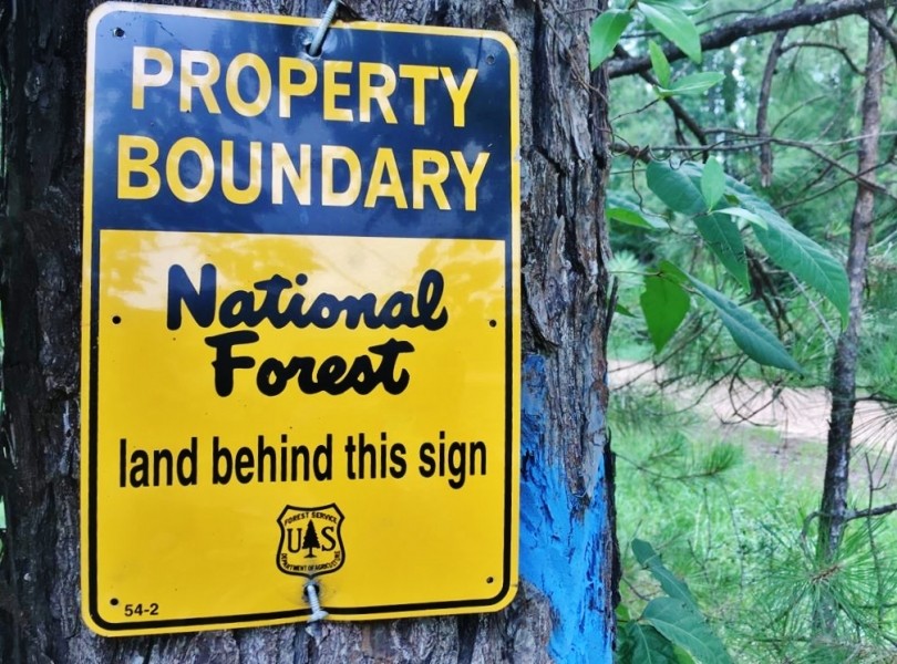 Land Camp Site for Sale Borders Homochitto National Forest Hunting