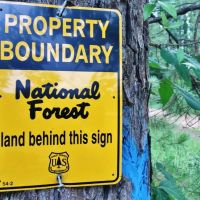 Land &nbsp; Camp Site for Sale Borders Homochitto National Forest