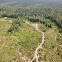 Land &nbsp; Camp Site for Sale Borders Homochitto National Forest images 2