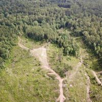 Land &nbsp; Camp Site for Sale Borders Homochitto National Forest images 3