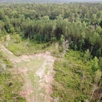 Land &nbsp; Camp Site for Sale Borders Homochitto National Forest images 5