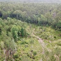 Land &nbsp; Camp Site for Sale Borders Homochitto National Forest images 6