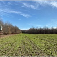 788 Acres in Issaquena County  Indian Lake Farms  in Redwood  MS