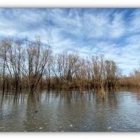 788 Acres in Issaquena County  Indian Lake Farms  in Redwood  MS images 3
