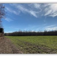 788 Acres in Issaquena County  Indian Lake Farms  in Redwood  MS images 4