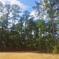 20 Acres Rural Land for Sale in SW MS  McComb  Pike Co  MS images 4
