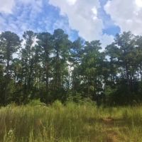20 Acres Rural Land for Sale in SW MS  McComb  Pike Co  MS images 6
