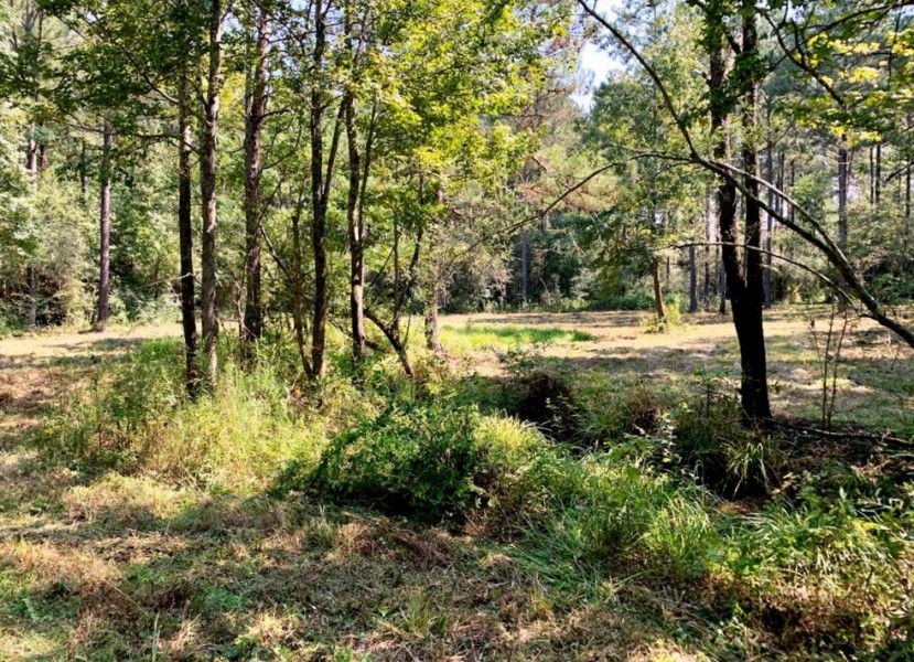 28.52 Acres Land for Sale Magnolia  Pike County  MS featured image