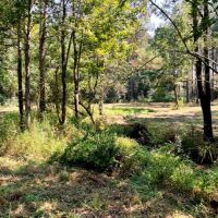28.52 Acres Land for Sale Magnolia  Pike County  MS images 1