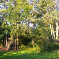 28.52 Acres Land for Sale Magnolia  Pike County  MS images 6