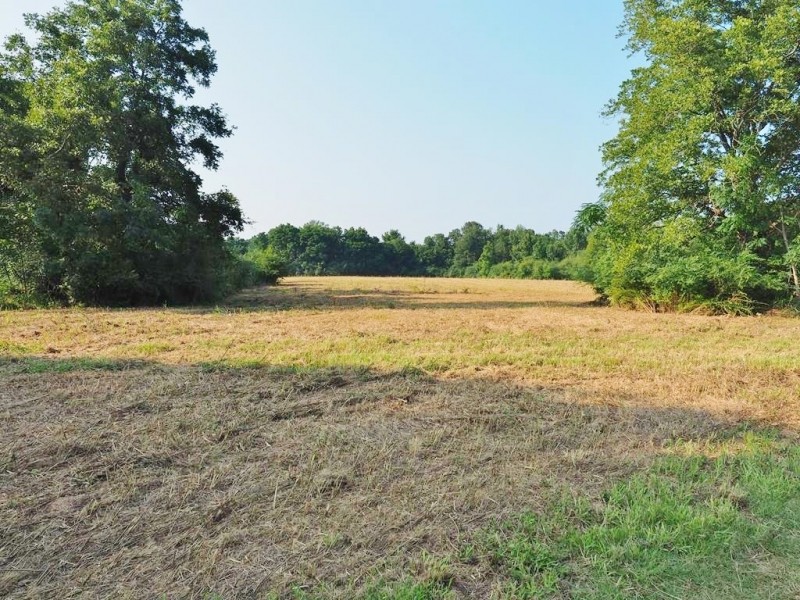280 Acres Hunting Land for Sale South MS  Jefferson Davis Co featured image
