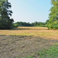 280 Acres Hunting Land for Sale South MS  Jefferson Davis Co