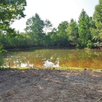 280 Acres Hunting Land for Sale South MS  Jefferson Davis Co images 2