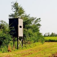 280 Acres Hunting Land for Sale South MS  Jefferson Davis Co images 3