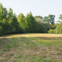 280 Acres Hunting Land for Sale South MS  Jefferson Davis Co images 4