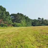 280 Acres Hunting Land for Sale South MS  Jefferson Davis Co images 6
