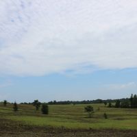 Open Land Suitable for Rowcrop or Pasture