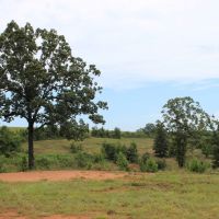 Open Land Suitable for Rowcrop or Pasture images 2