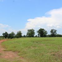 Open Land Suitable for Rowcrop or Pasture images 3