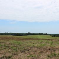 Open Land Suitable for Rowcrop or Pasture images 4