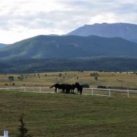 Pikes Peak Ranch images 3