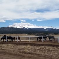 Pikes Peak Ranch images 4