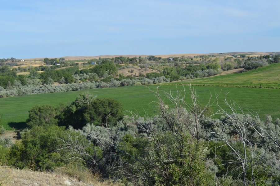 Double Bar F Ranch featured image