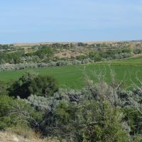 Double Bar F Ranch