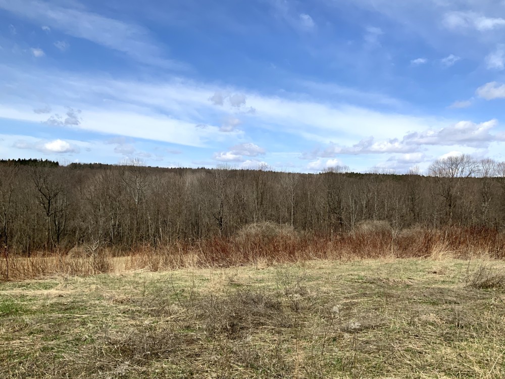 5 acres Bordering Beaver Meadow State Forest Smyrna NY featured image