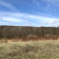 5 acres Bordering Beaver Meadow State Forest Smyrna NY