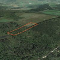 5 acres Bordering Beaver Meadow State Forest Smyrna NY images 4