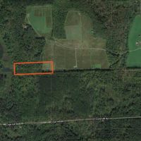 5 acres Bordering Beaver Meadow State Forest Smyrna NY images 5