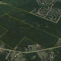 180 Acres &nbsp; FM 355 &nbsp; Brushy Creek &nbsp;   Tract B3 images 5
