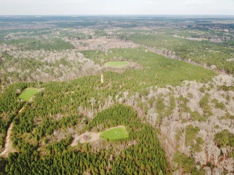98 Acres Copiah County Hunting Land for Sale SW MS featured image