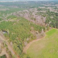 98 Acres Copiah County Hunting Land for Sale SW MS images 2