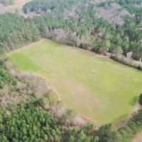 98 Acres Copiah County Hunting Land for Sale SW MS images 3