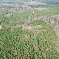 98 Acres Copiah County Hunting Land for Sale SW MS images 4