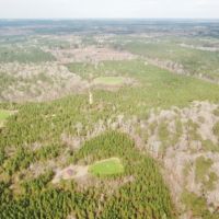 98 Acres Copiah County Hunting Land for Sale SW MS images 5